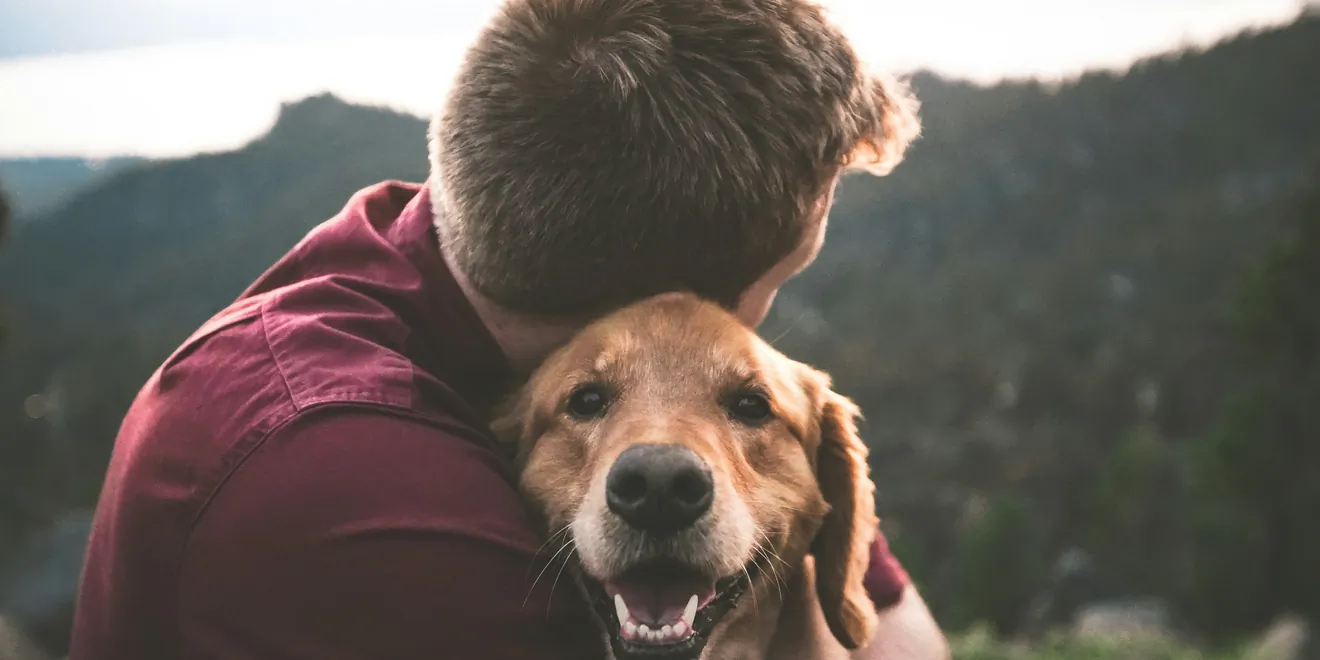 Pet Insurance: What It Covers and Why It Is Worth Having