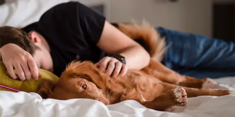 Miegs un veselība: kā hronisks nogurums ietekmē ikdienu