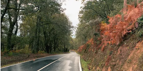 Rudens braukšana: kurus riskus sedz KASKO un kurus ne