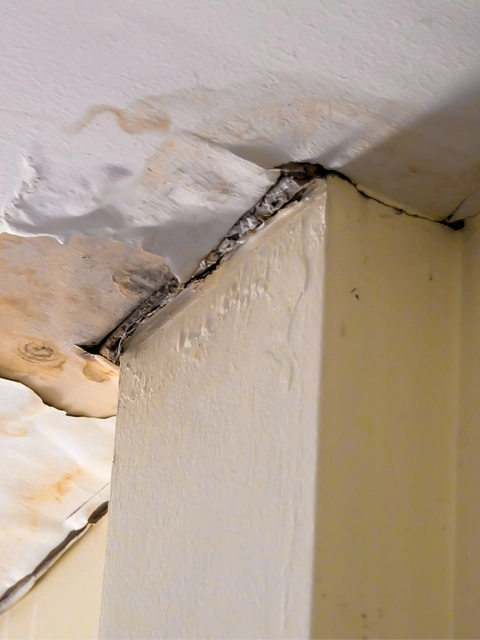 Appludināti griesti un grīda